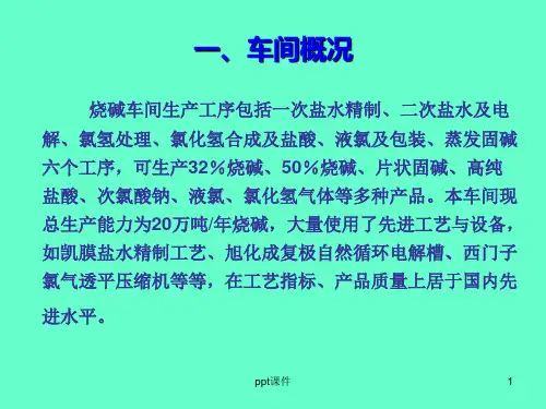 氯碱行业烧碱工艺演示  ppt课件
