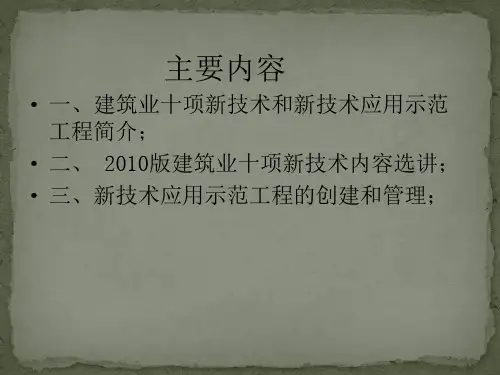 2010年版建筑业十项新技术申报与验收