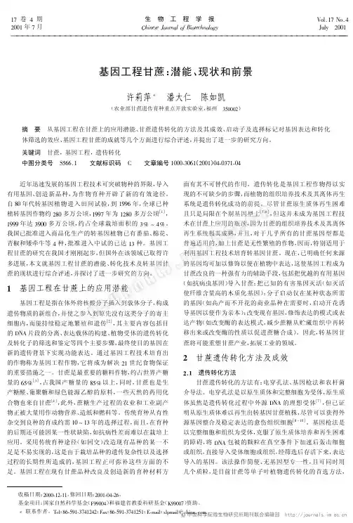 基因工程甘蔗：潜能、现状和前景