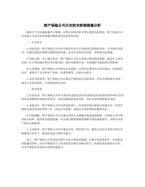 财产保险公司巨灾防灾防损措施分析
