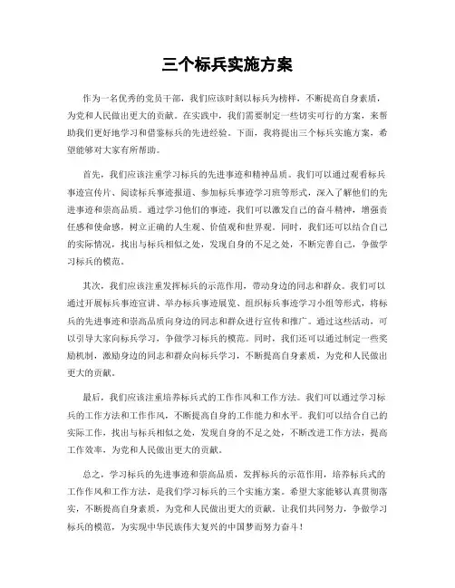 三个标兵实施方案