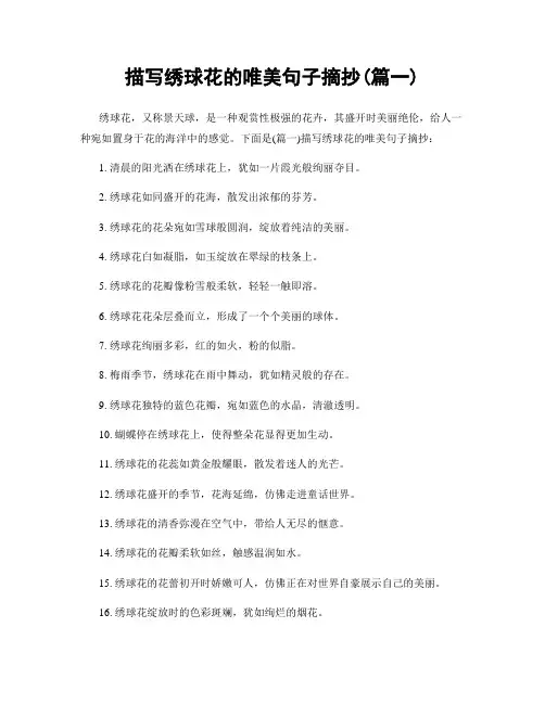 描写绣球花的唯美句子摘抄(精选合集2篇)