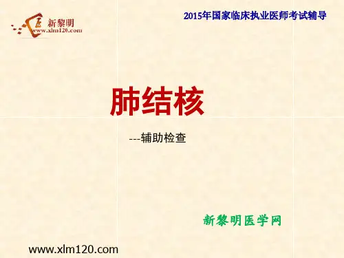 新肺结核辅助检查PPT课件