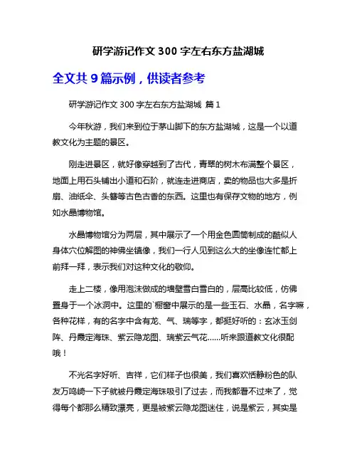 研学游记作文300字左右东方盐湖城