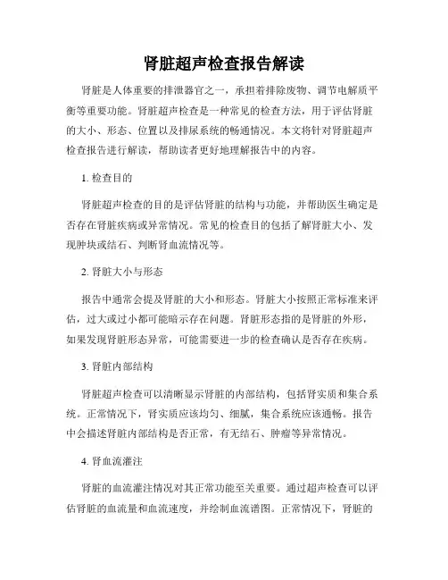 肾脏超声检查报告解读
