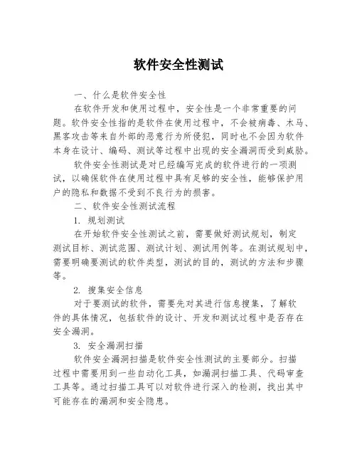 软件安全性测试