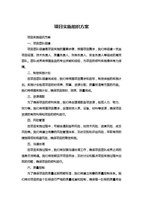 项目实施组织方案