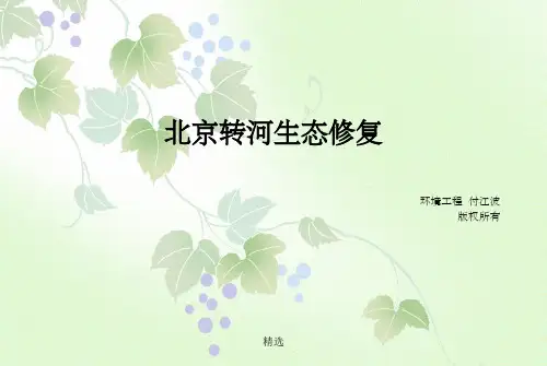 生态工程案例-北京转河生态修复PPT课件