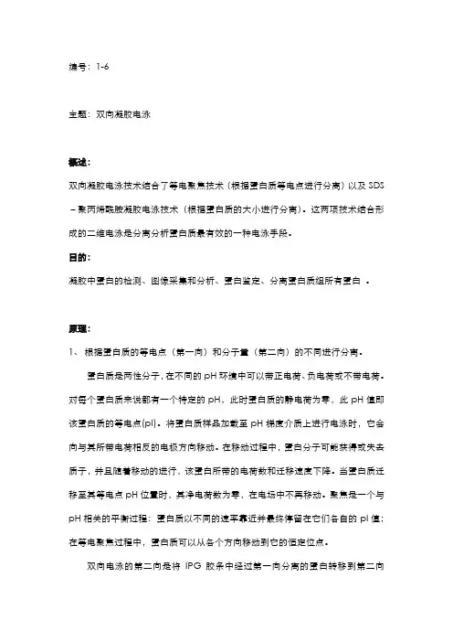 蛋白检测篇-双向凝胶电泳分享