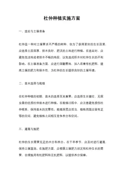 杜仲种植实施方案
