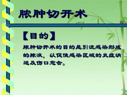 脓肿切开术(共17张PPT)