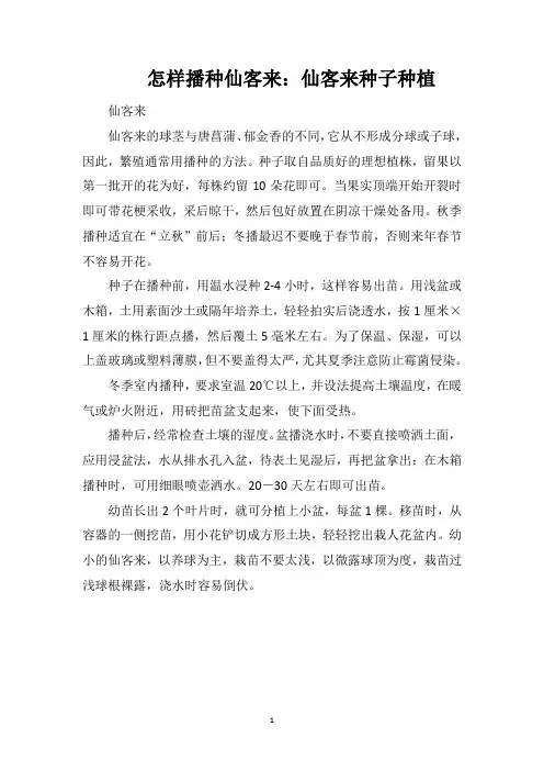 怎样播种仙客来：仙客来种子种植