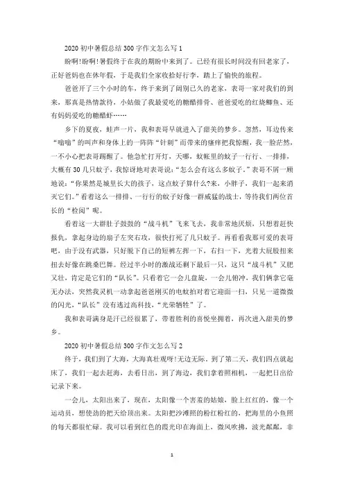 初中暑假总结300字作文怎么写7篇范文(最新)