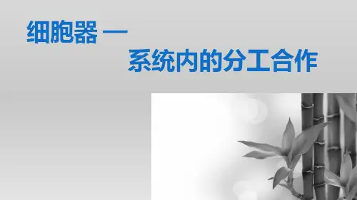 人教版高一生物学教材必修二第3章第2节《细胞器》教学课件