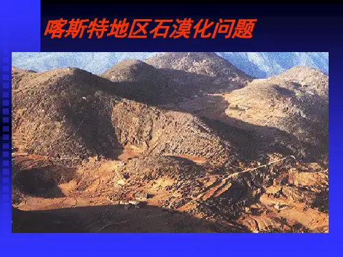 喀斯特石漠化