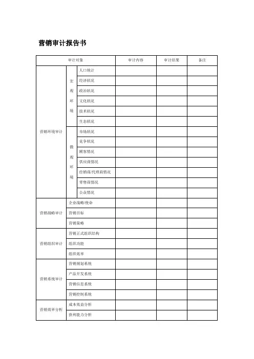 营销审计.docx