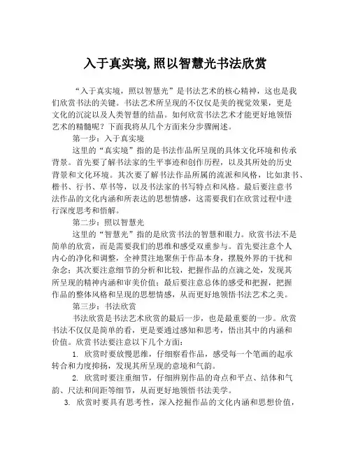 入于真实境,照以智慧光书法欣赏