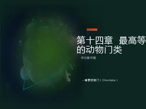 动物学脊索动物门