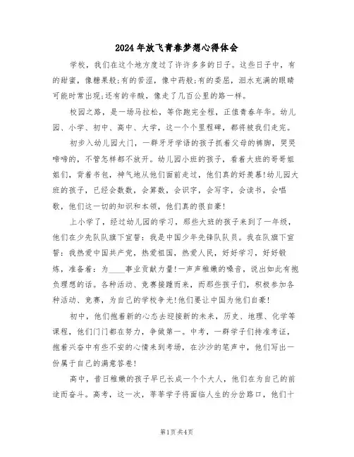 2024年放飞青春梦想心得体会(2篇)