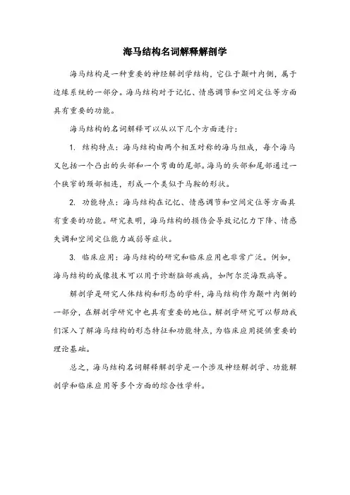 海马结构名词解释解剖学