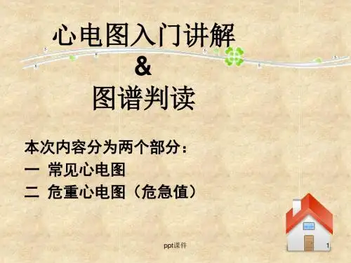 心电图入门讲解  ppt课件