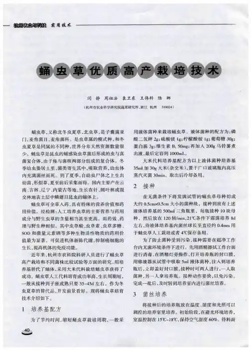 蛹虫草优质高产栽培技术