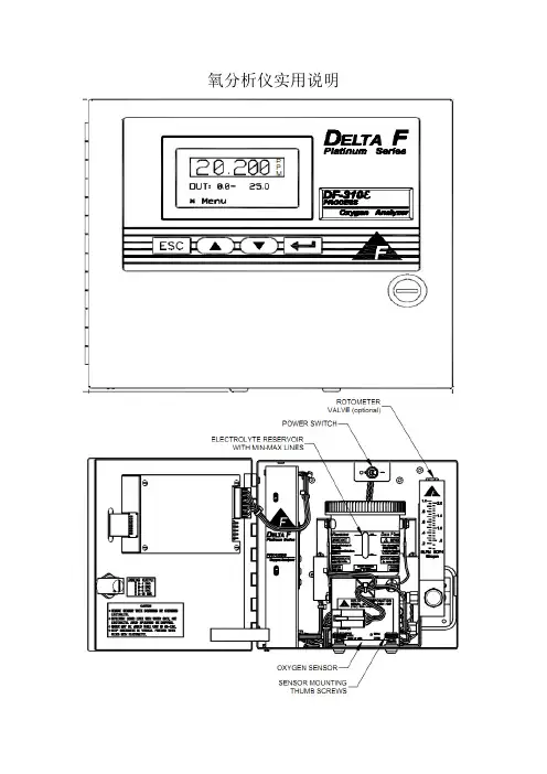 DF310E微量氧分析仪(中文)