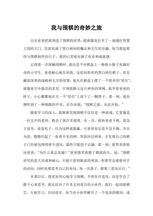我与围棋的奇妙之旅