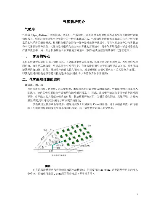 气雾培蔬菜流程内容