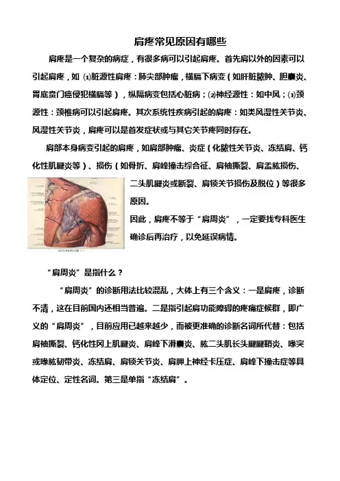 肩疼常见的原因有哪些