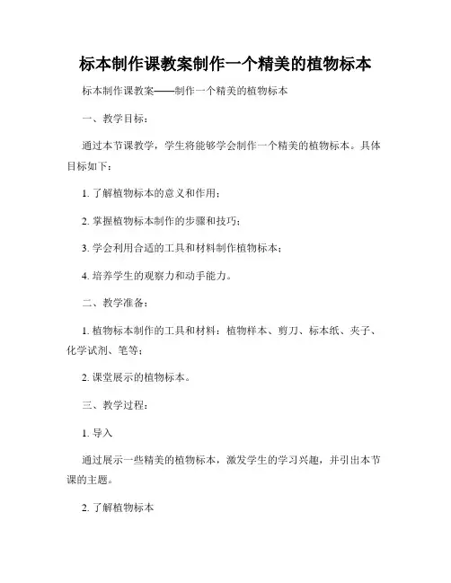 标本制作课教案制作一个精美的植物标本