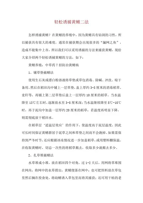 轻松诱捕黄鳝二法