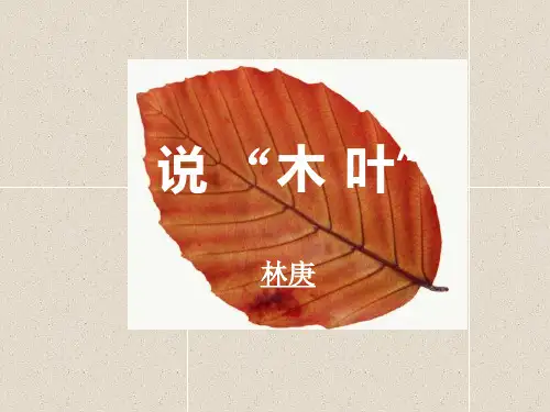 人教高中语文必修五9.《说木叶》教学PPT课件(人教版(新课程标准))