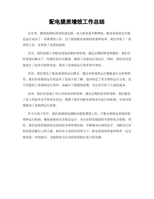 配电提质增效工作总结