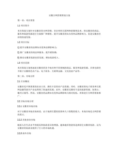 安徽全网营销策划方案