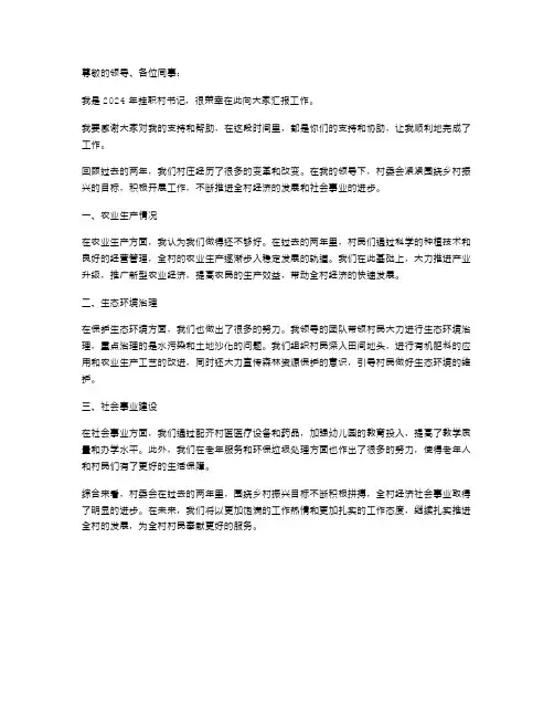 2024年挂职村书记述职报告