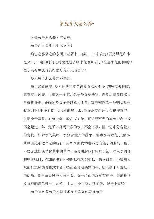 家兔冬天怎么养--冬天兔子怎么养才不会死