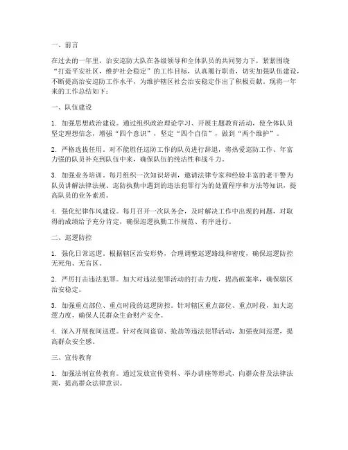 治安巡防大队年度总结