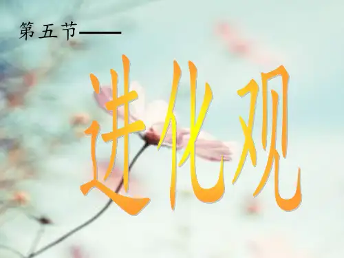 进化观 与 依恋理论ppt课件