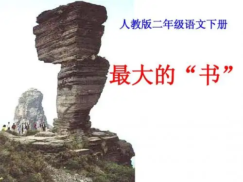 最大的书