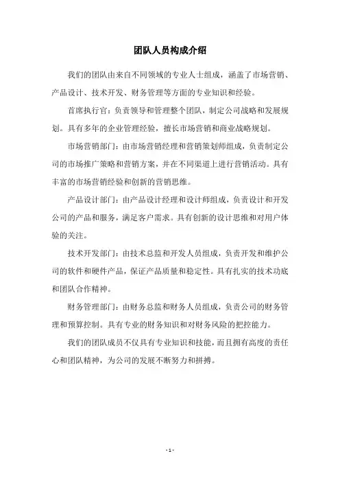 团队人员构成介绍