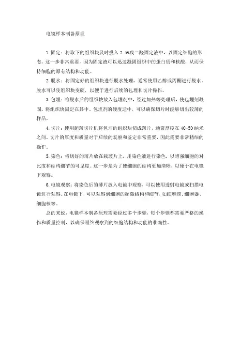 电镜样本制备原理