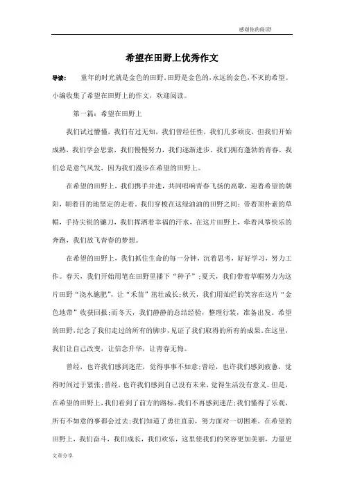 希望在田野上优秀作文