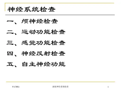 新版神经系统检查培训课件