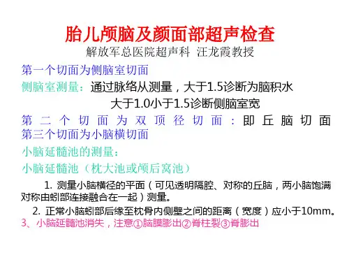 胎儿颅脑及颜面部超声PPT课件