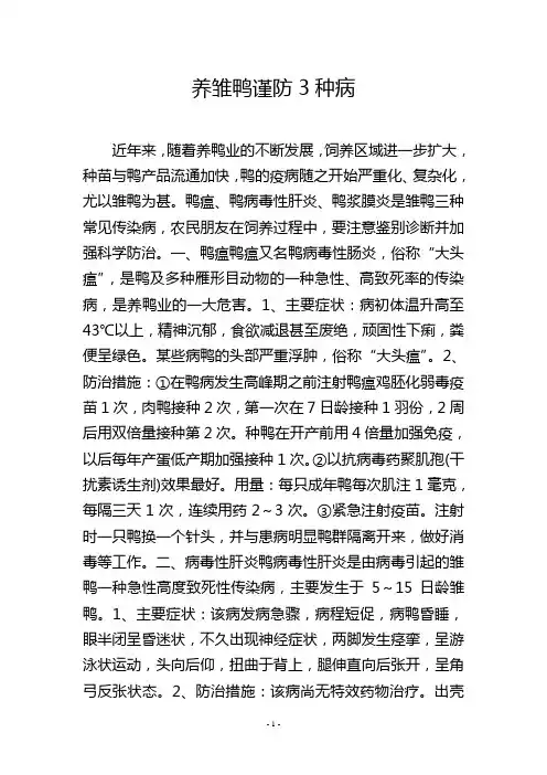 养雏鸭谨防3种病