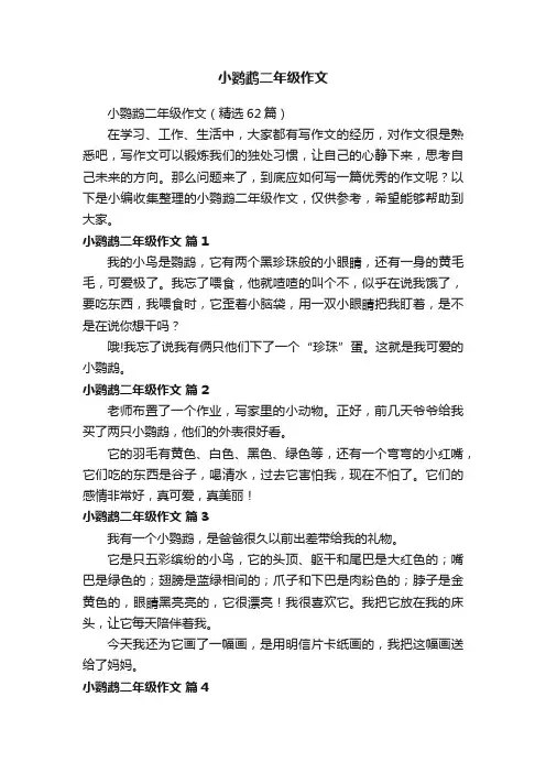 小鹦鹉二年级作文（精选62篇）