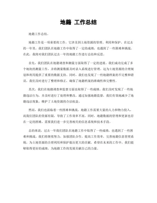 地籍 工作总结