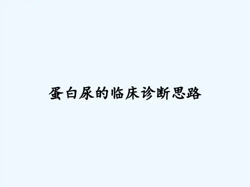 蛋白尿的临床诊断思路