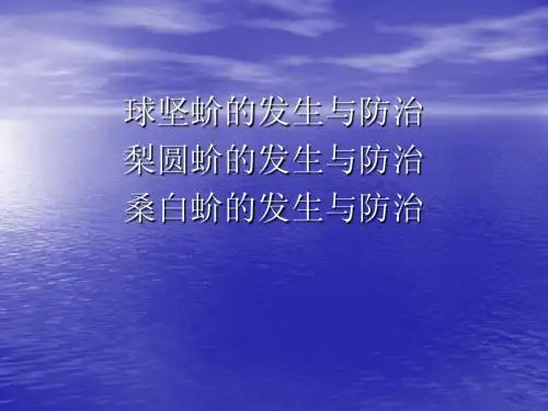 介壳虫